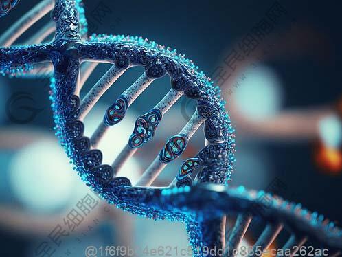 泰州脂肪肝干细胞治疗医院排行榜