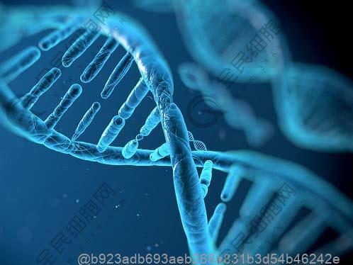 5个运动轻松保护性能力 最能壮阳补肾的6种食物