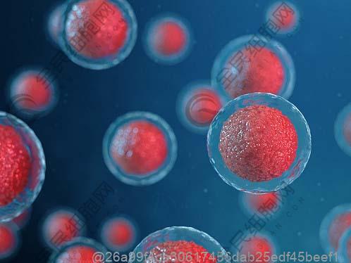 甲状腺弹性彩超显示4b级严重吗
