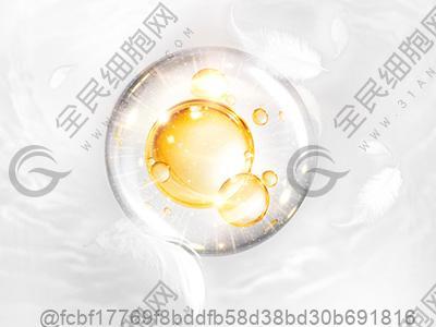 二级高血糖饮食注意什么