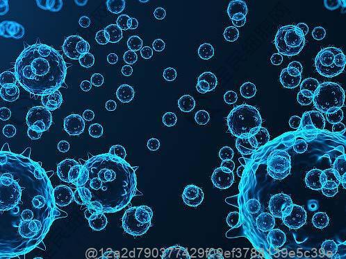 糖尿病人能吃杨梅酒吗