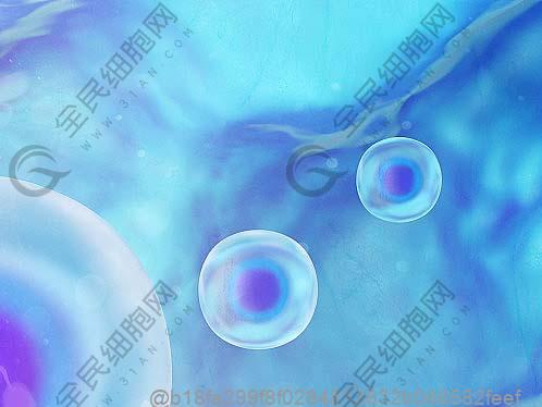 干细胞治疗期间蛋白质来源：牛羊肉还是其他？