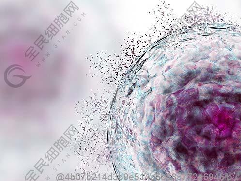 体检一般查传染病四项检查吗