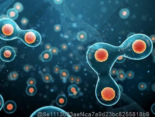 喝酒对打干细胞的副作用有哪些？