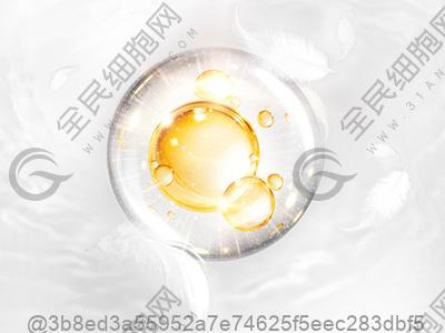 肺部炎症做ct能检查出来吗